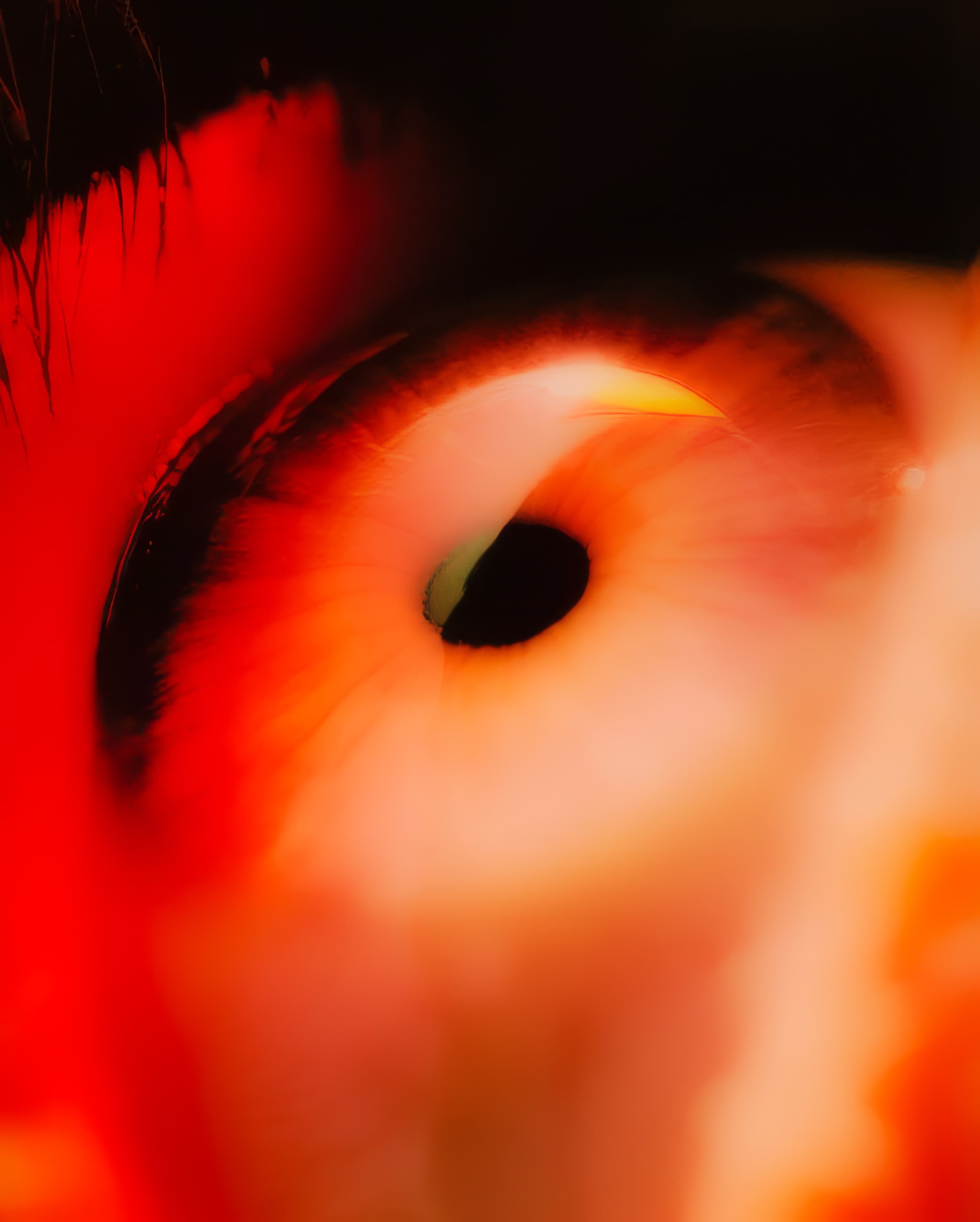 Sharpen your vision and focus on what matters